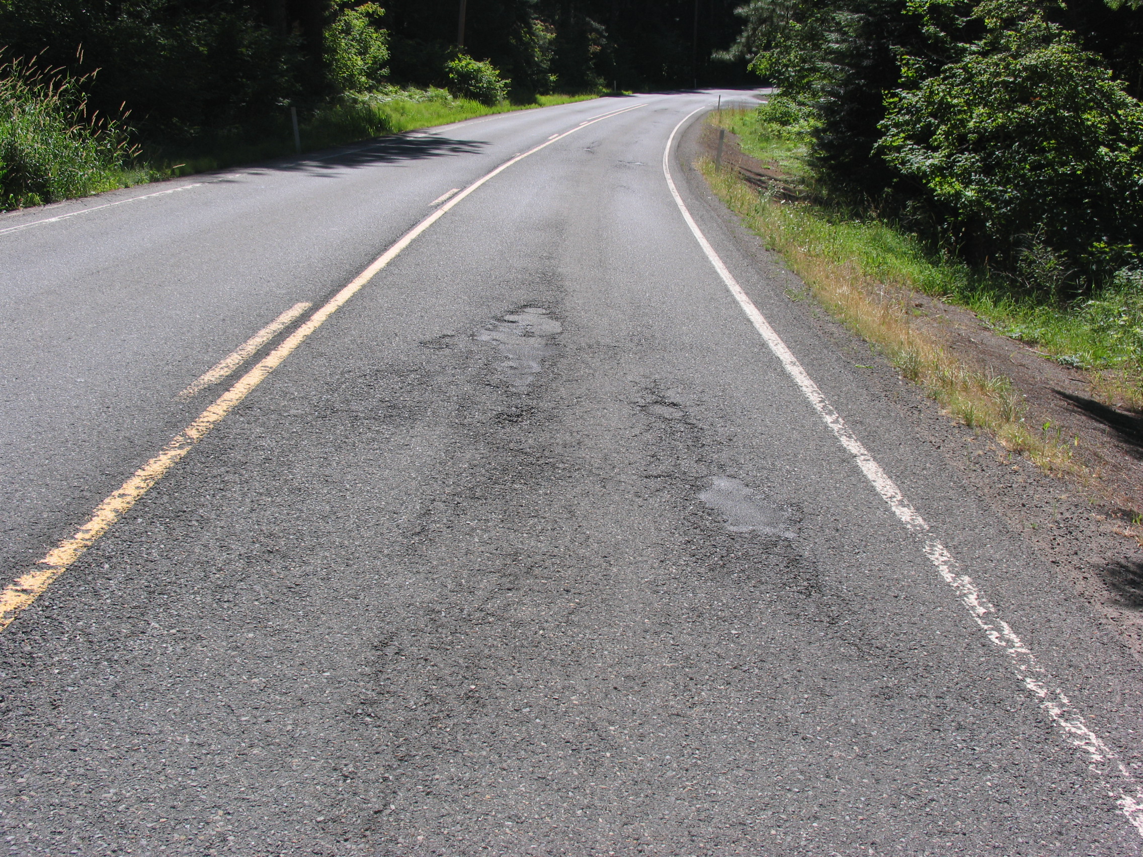 Probable temperature differential damage on a state route in the Cascade Mountains.
