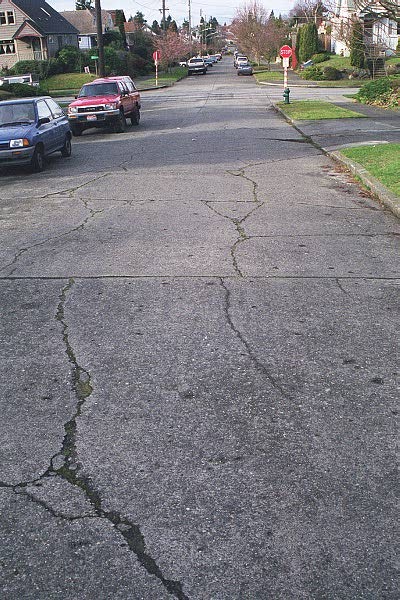 Multiple panel cracks on a residential street.