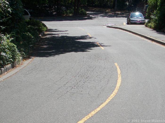 Depression in an access roadway probably caused by subgrade settlement. Note that the pavement has fatigue cracked significantly as it has settled.